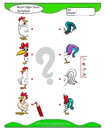 Resmi Diğer Yarısı ile Eşleştir Çalışma Sayfaları